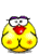 Hasi